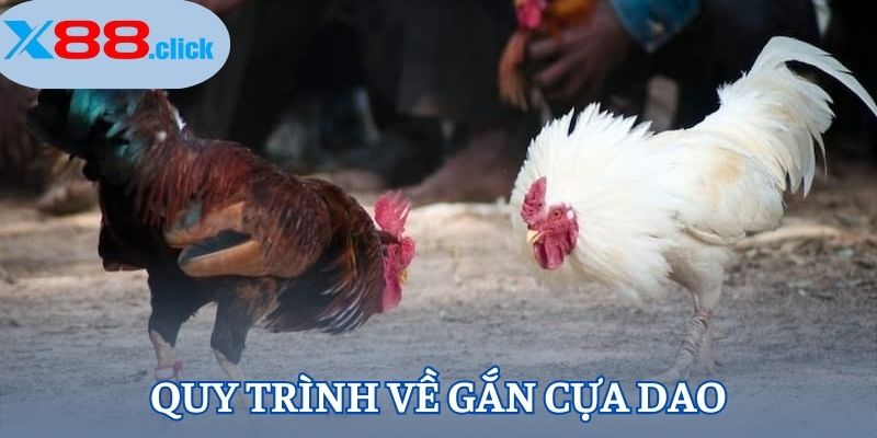 Quy trình về gắn cựa dao Quy trình về gắn cựa dao